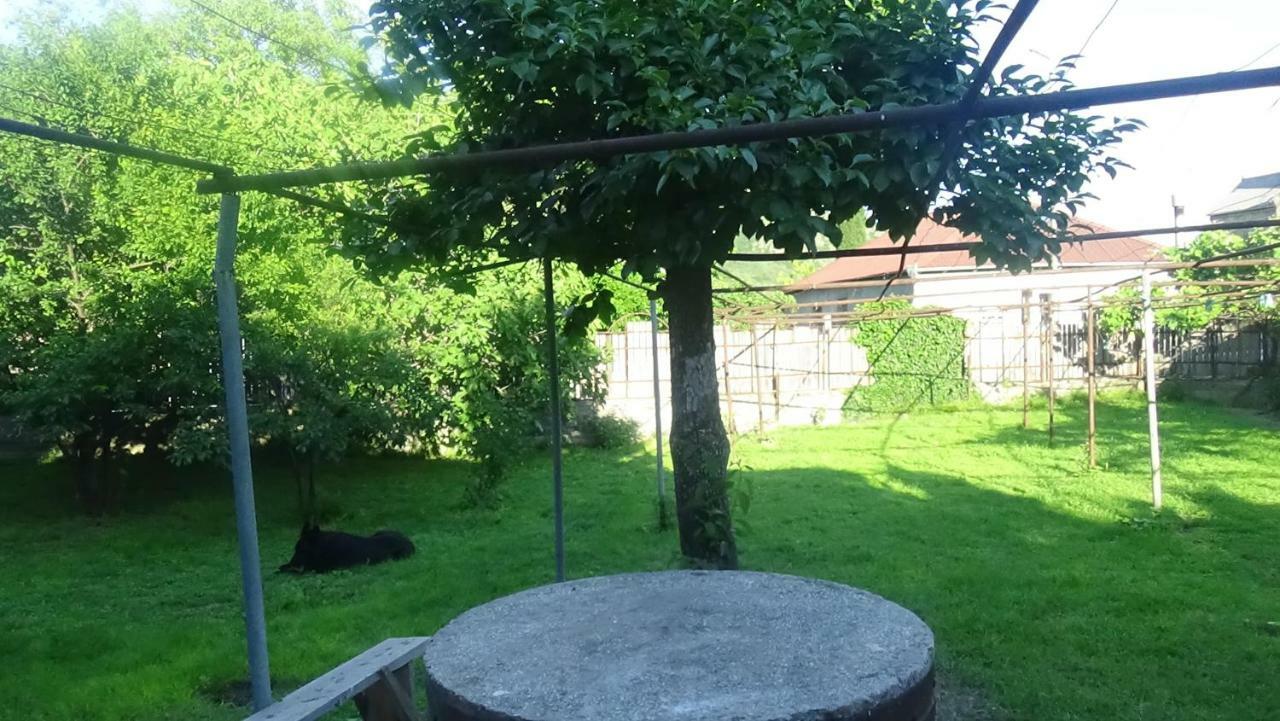Guest House Ebralidze Mtsʼkhetʼa Eksteriør billede